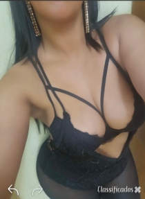 Gata portuguesa  914479100