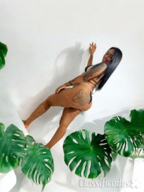 Maya - Recém chegada