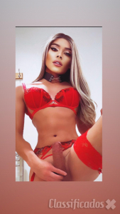 Larissa TS XXL novidade em Coimbra