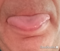 Faço Minete sem custo